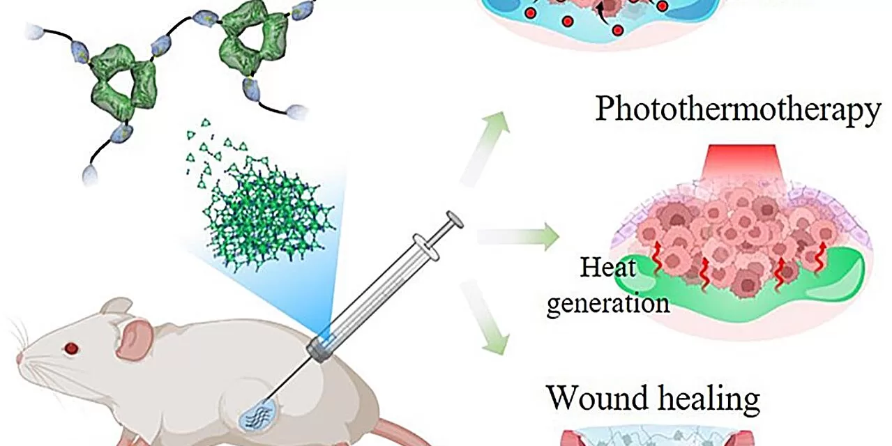 Innovative Protein Hydrogel Shows Potential for Targeted Drug Delivery