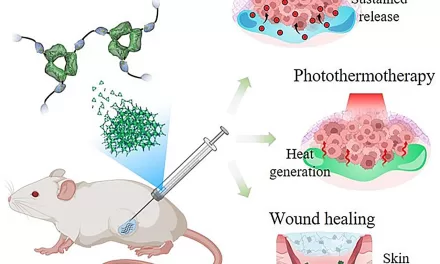 Innovative Protein Hydrogel Shows Potential for Targeted Drug Delivery