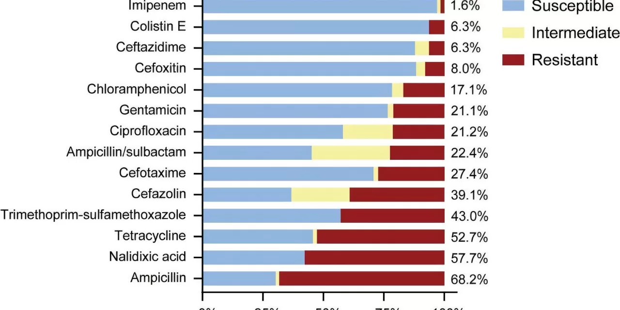 Tackling the Threat of Drug-Resistant E. coli in China