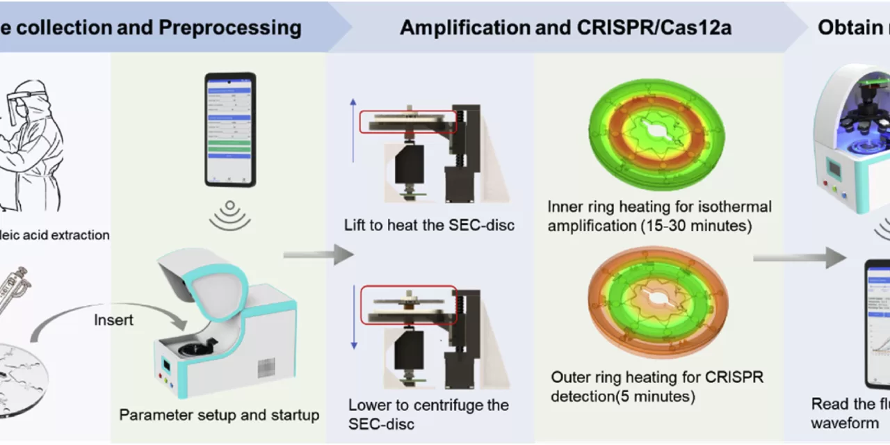 New CRISPR-Based Analysis System Enhances Rapid Pathogen Detection