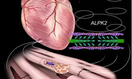 Enzyme ALPK2: A Promising Therapeutic Target for Lethal Heart Failure