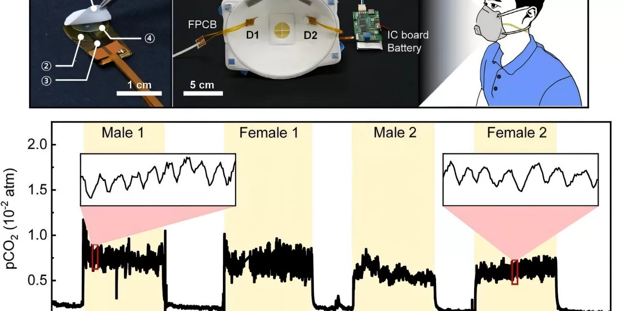 Wearable CO2 Sensor Enables Real-Time Apnea Diagnosis