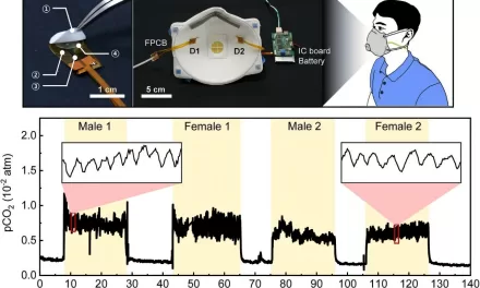 Wearable CO2 Sensor Enables Real-Time Apnea Diagnosis