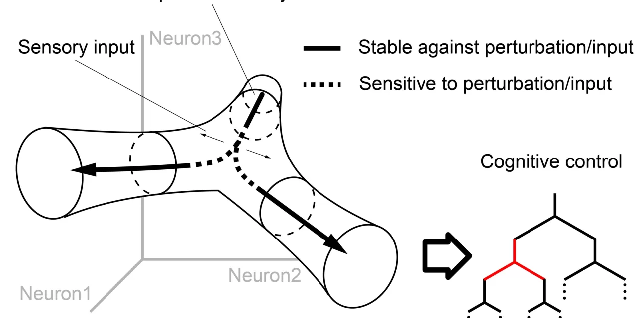 Branching Channels: How Tree-Structured Representations in the Brain Maintain and Update Information