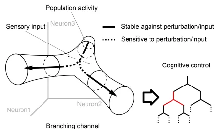 Branching Channels: How Tree-Structured Representations in the Brain Maintain and Update Information