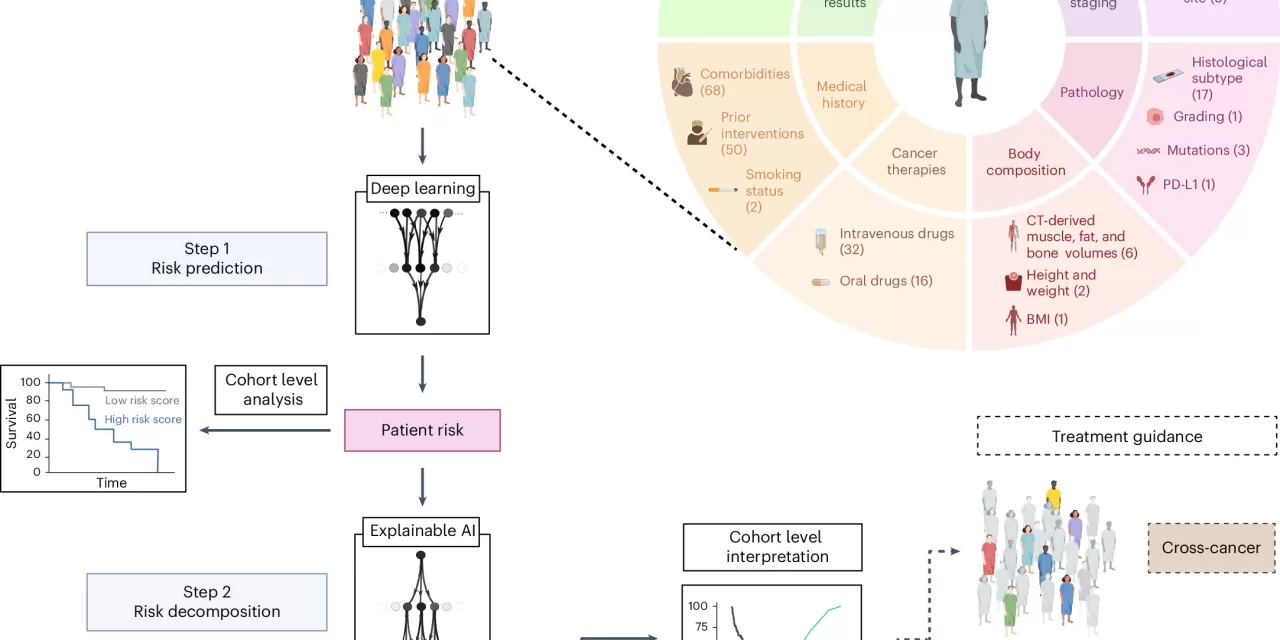 AI Tool Deciphers Complex Interrelationships to Improve Personalized Cancer Treatment