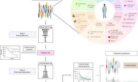 AI Tool Deciphers Complex Interrelationships to Improve Personalized Cancer Treatment