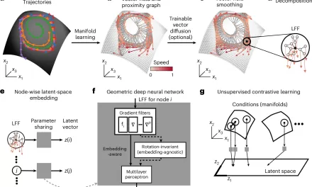 New Geometric Deep Learning Method Unlocks Hidden Patterns in Brain Dynamics