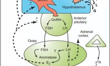 Mapping Complex Interactions Between Sex Hormones and Neurological Health