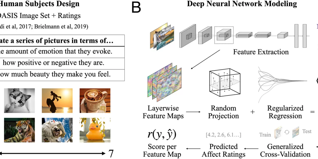 Machine Learning Sheds Light on How the Human Brain Perceives Feeling