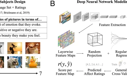 Machine Learning Sheds Light on How the Human Brain Perceives Feeling