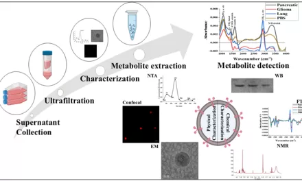 Common Biomarker for Range of Cancers Offers Potential Non-Invasive Method for Early Diagnosis