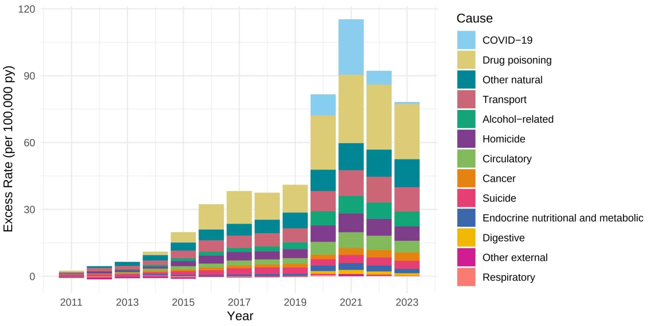 Rising Early Adult Mortality in the U.S.: Death Rates Remain Higher Than Expected Post-Pandemic