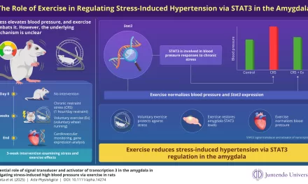 Exercise Restores STAT3 in the Amygdala, Preventing Stress-Induced Hypertension