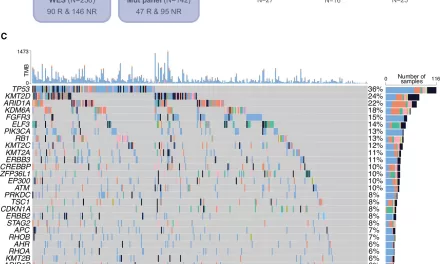 Massive Data Analysis Advances Understanding of Immunotherapy in Bladder Cancer