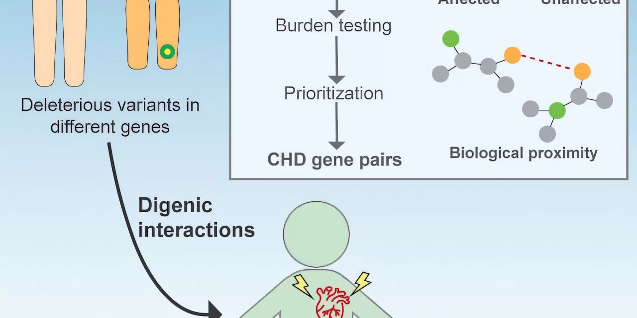 Hidden Genetic Causes of Congenital Heart Disease Identified