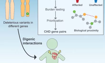 Hidden Genetic Causes of Congenital Heart Disease Identified