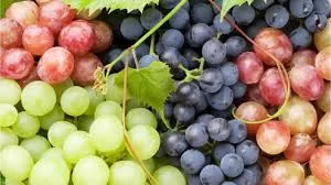 New Study Links Grape Consumption to Improved Muscle Health