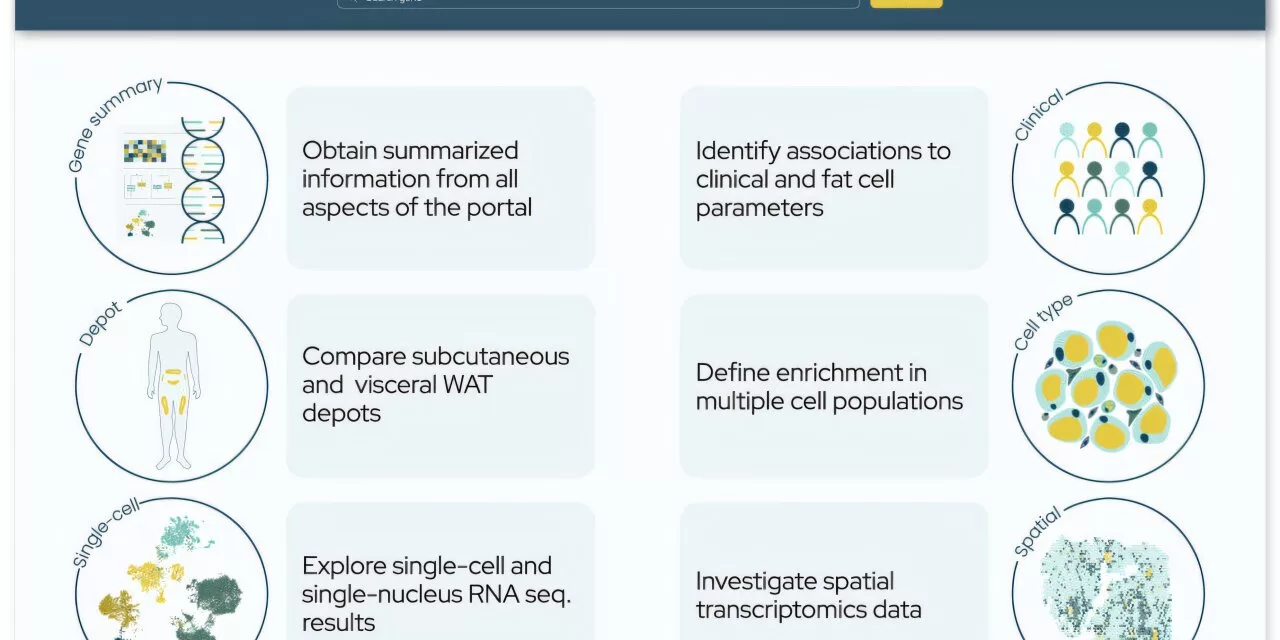 User-Friendly Portal Links Molecular and Clinical Data to Boost Metabolic Disease Research