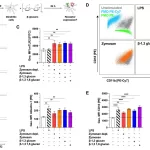 β-Glucans Show Promise as Adjuvants for Allergy Treatment