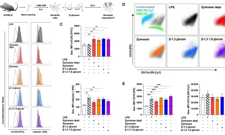 β-Glucans Show Promise as Adjuvants for Allergy Treatment