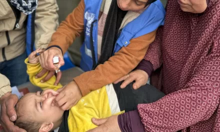 New round of polio vaccinations begins in Gaza