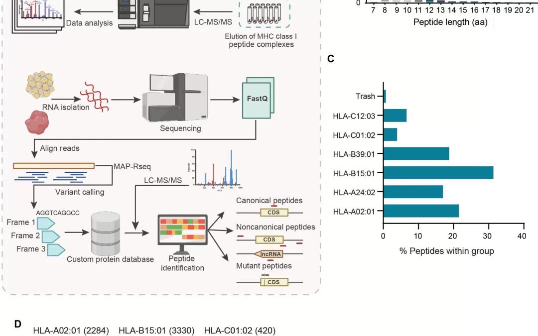 Cryptic Antigen Identified as New Immunotherapy Target for Ovarian Cancer