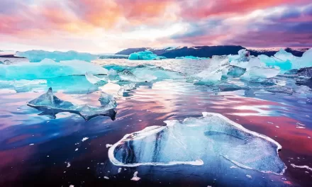 Earth is Already Changing in ‘Unimaginable Ways’ Due to Rapid Arctic Meltdown