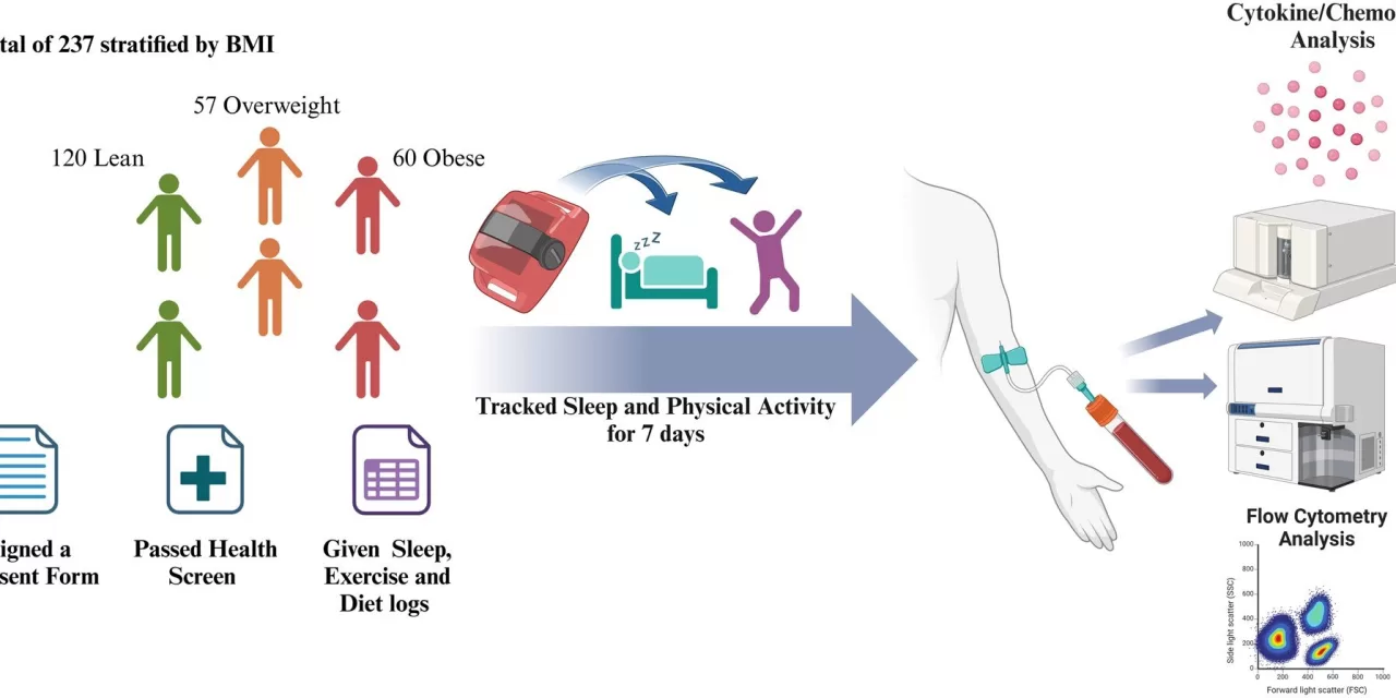 Even One Night of Lost Sleep Can Disrupt Immune Function, Increase Inflammation