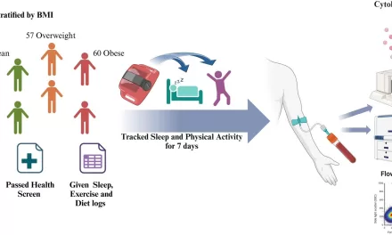 Even One Night of Lost Sleep Can Disrupt Immune Function, Increase Inflammation