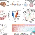 Herpesviruses May Contribute to Alzheimer’s Disease via Transposable Elements