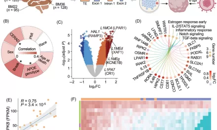 Herpesviruses May Contribute to Alzheimer’s Disease via Transposable Elements