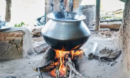 Burning Plastic for Cooking Fuel: A Growing Global Crisis