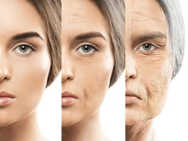 Anti-Aging Breakthrough: Scientists Found a New Way to Stop Wrinkles and Graying Hair