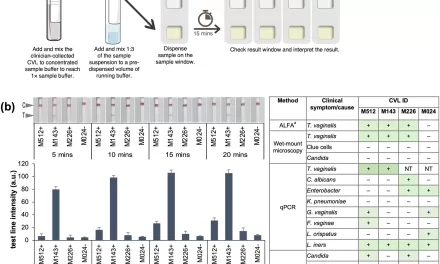 Affordable Test Can Detect Trichomoniasis Parasite in Just 15 Minutes