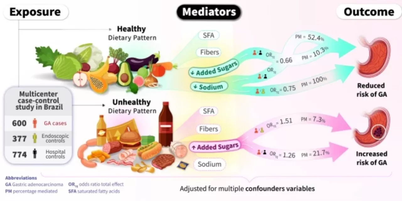 Added Sugar and Salt Identified as Key Contributors to Stomach Cancer Risk