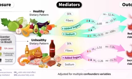 Added Sugar and Salt Identified as Key Contributors to Stomach Cancer Risk