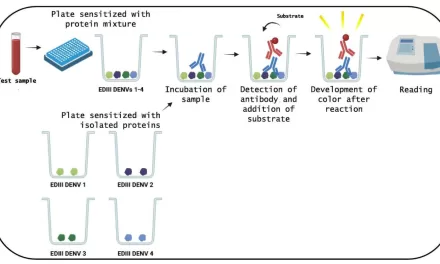 New Test Identifies Prior Zika and Dengue Infections with High Accuracy