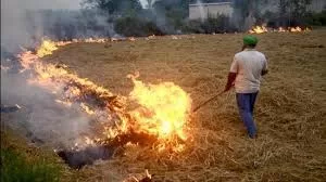 Crop Fires in Punjab, Haryana Not Responsible for Poor Air Quality in Delhi-NCR: Study