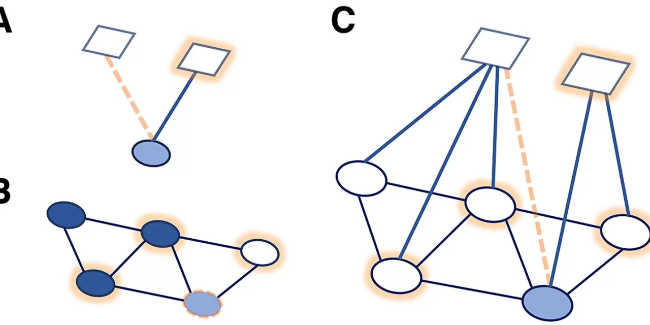 Social Connections Key to Disease Prevention, Study Finds