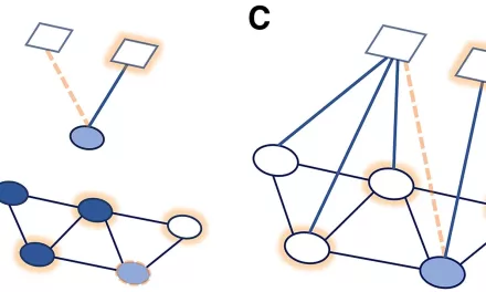 Social Connections Key to Disease Prevention, Study Finds