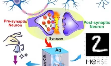 Amalgamated hybrid materials enable brain-mimicking artificial synapses for computing breakthroughs