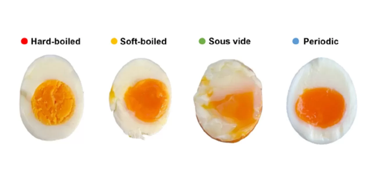 Scientists Crack the Code for the Perfect Boiled Egg