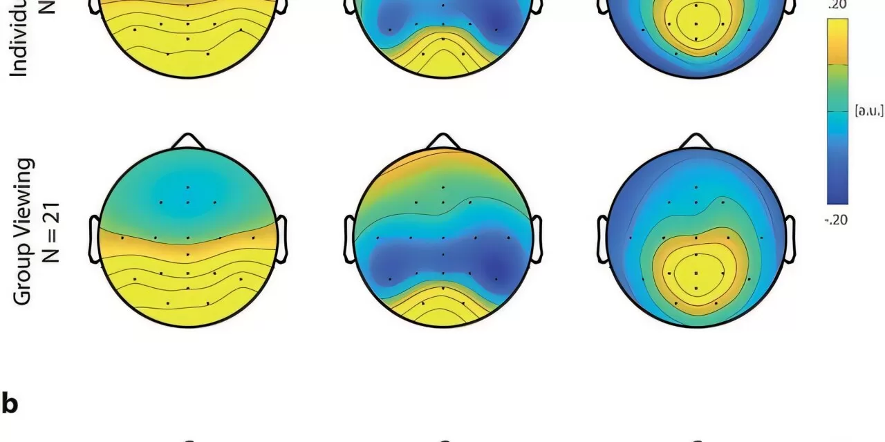 Brain Waves Used to Measure Effect of Anti-Alcohol Campaigns