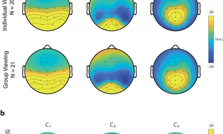 Brain Waves Used to Measure Effect of Anti-Alcohol Campaigns