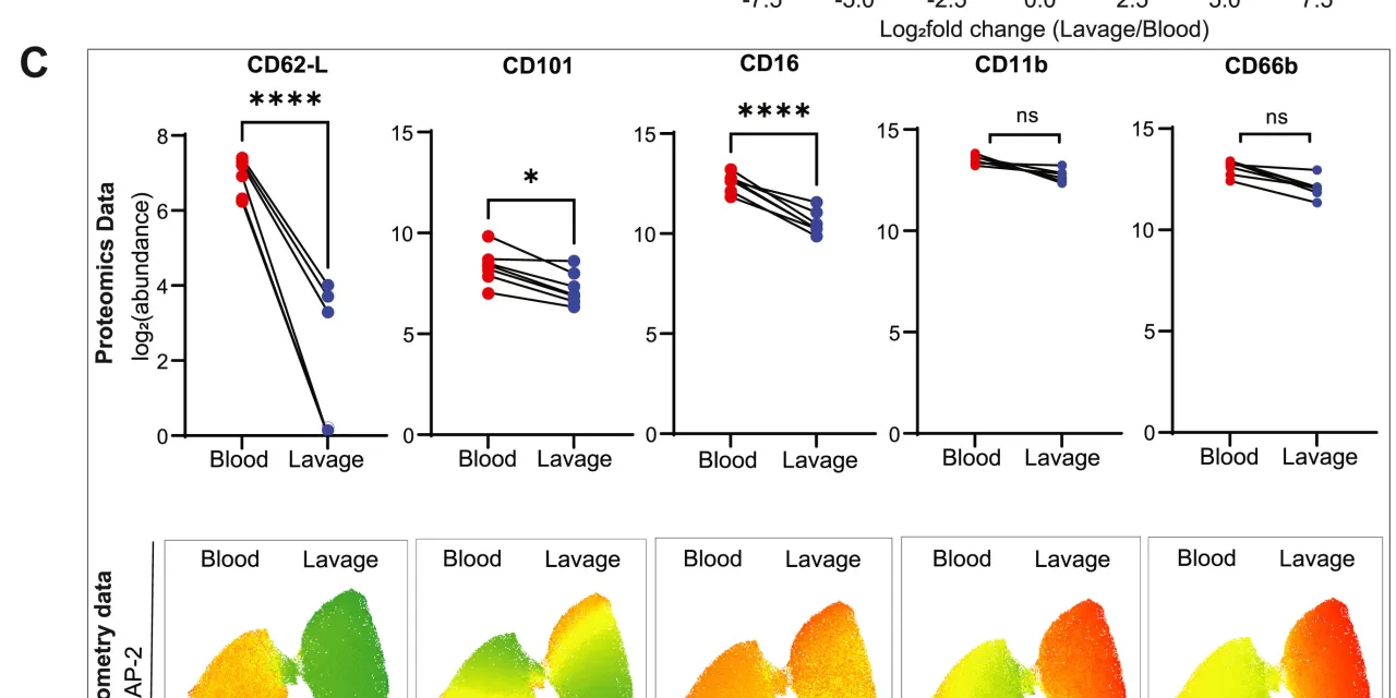 Tabasco Sauce Aids Validation of New Immune Cell Analysis Method