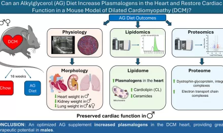 Dietary Supplement Shown to Restore Cardiac Function