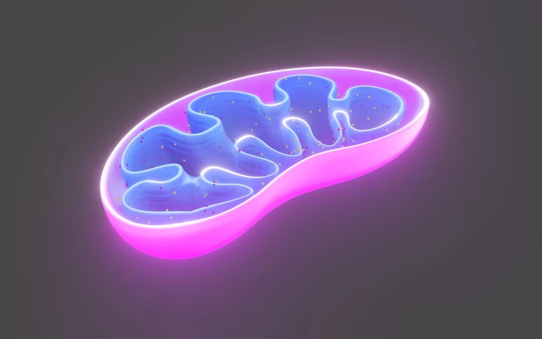 The Engine of Growth: New Stem Cells Identified as Key to Pubertal Height Spurt