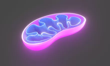 Mitochondria’s Role in Diabetes: Could Reversing Damage Offer a Cure?