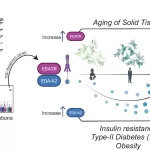 Scientists Identify ‘Inflammation’ Gene Linked to Accelerated Aging